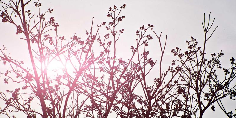 HR咨询新范式：云云人力资源如何通过数据分析驱动人才决策与组织效能跃升