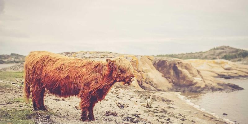 HR解决方案、咨询与薪酬管理：构建企业高效人力资源体系的三大支柱