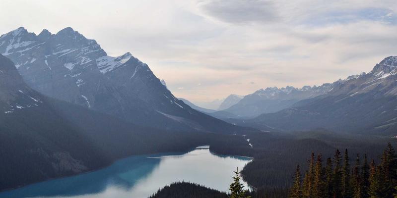 云云人力资源如何驱动组织变革：员工培训与人才服务的战略价值