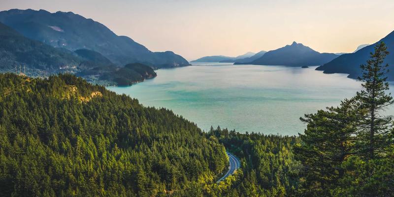 人力资源54：数字化时代下HR解决方案、人才服务与咨询的融合创新