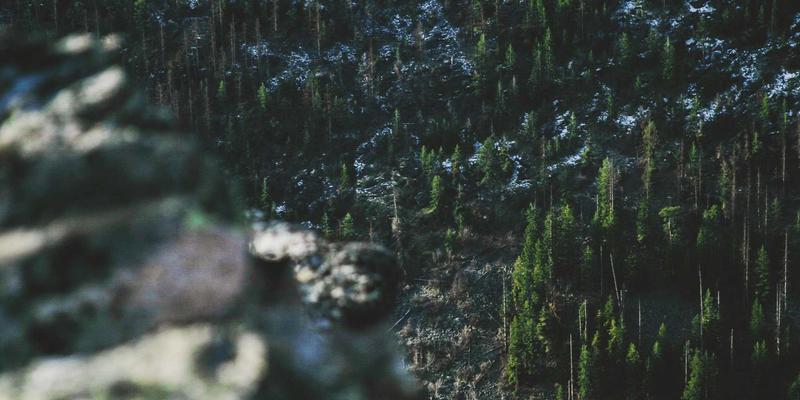 人力资源入门：从人才服务到薪酬管理的HR解决方案全景解析