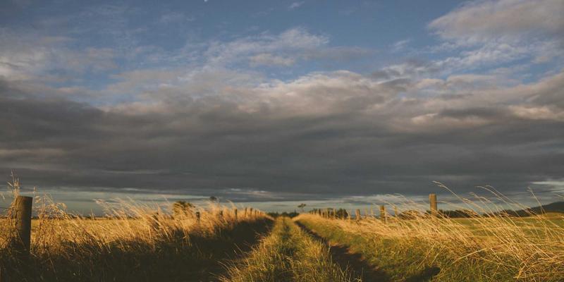 混合办公模式下的人力资源新挑战：HR咨询如何重塑团队协作与人才服务