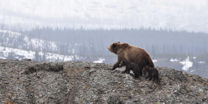 组织文化与人力资源政策如何协同？聚焦员工培训、薪酬管理与人才服务，塑造高绩效行为